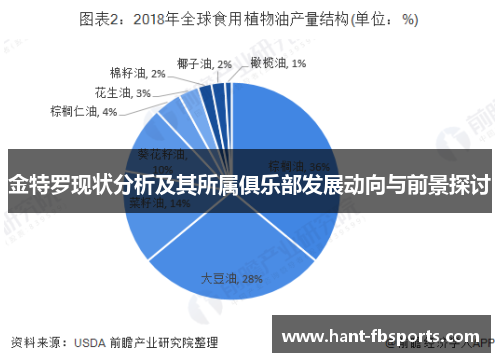 金特罗现状分析及其所属俱乐部发展动向与前景探讨